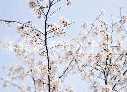 春暖花开的句子 描写景色优美的名言名句 8啦