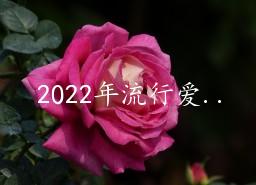 2022а66