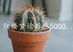 ¥ζ5000