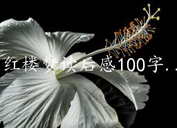 ¥ζ100