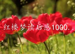 ¥ζ1000