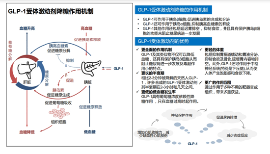 源达GLP-1专题研究：降糖、减肥市场持续扩容，GLP-1药物市场增长迅速