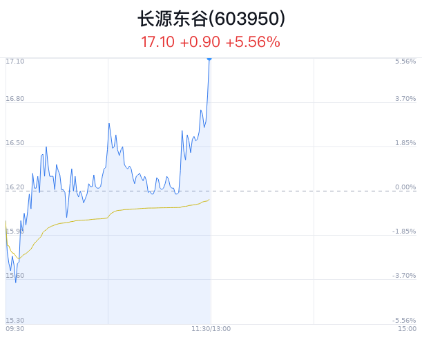 长源东谷盘中大涨5.56% 股价创1月新高