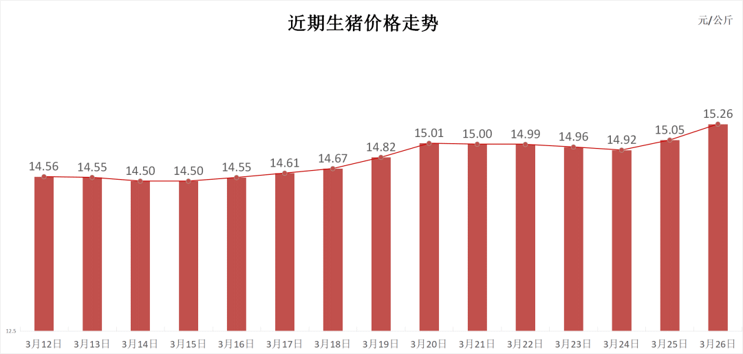 每日猪讯3.26