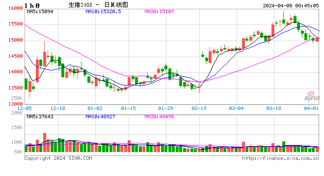 Mysteel解读：阶段性利好持续  或支撑生猪价格继续走强