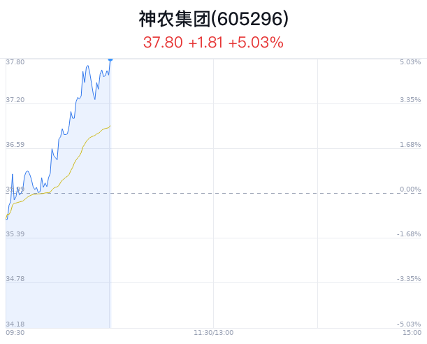 神农集团大幅上涨 生猪出栏有所减少