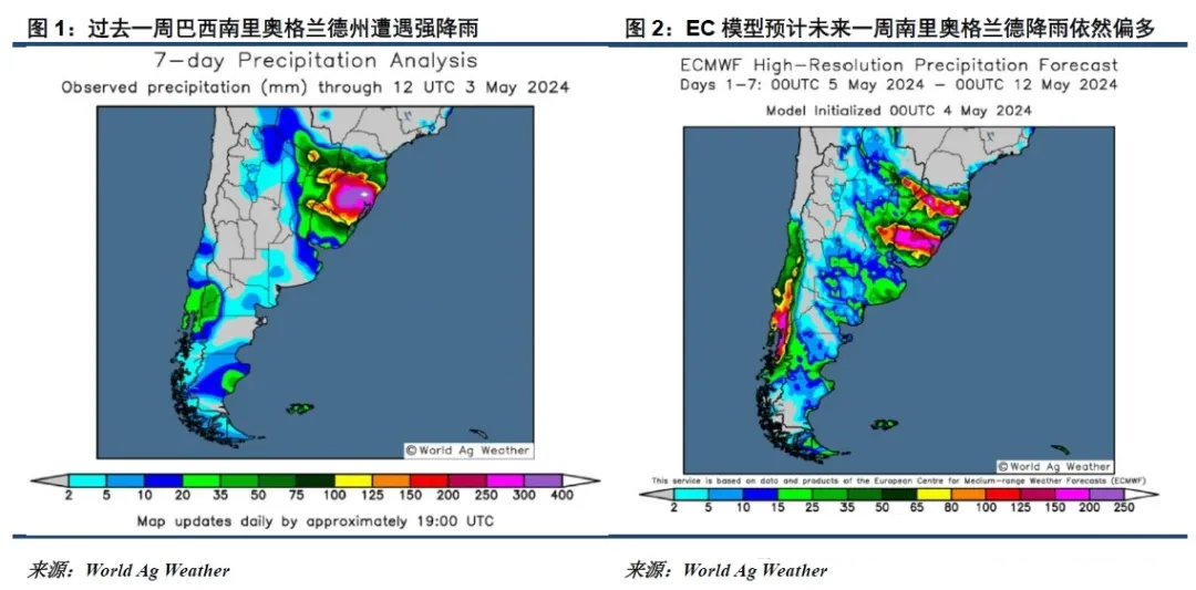 外盘表现拉胯 节后油脂或存在补跌需求