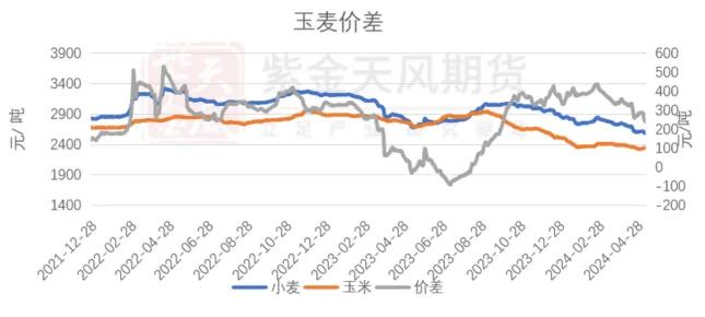 玉米：情绪好转 量价齐升