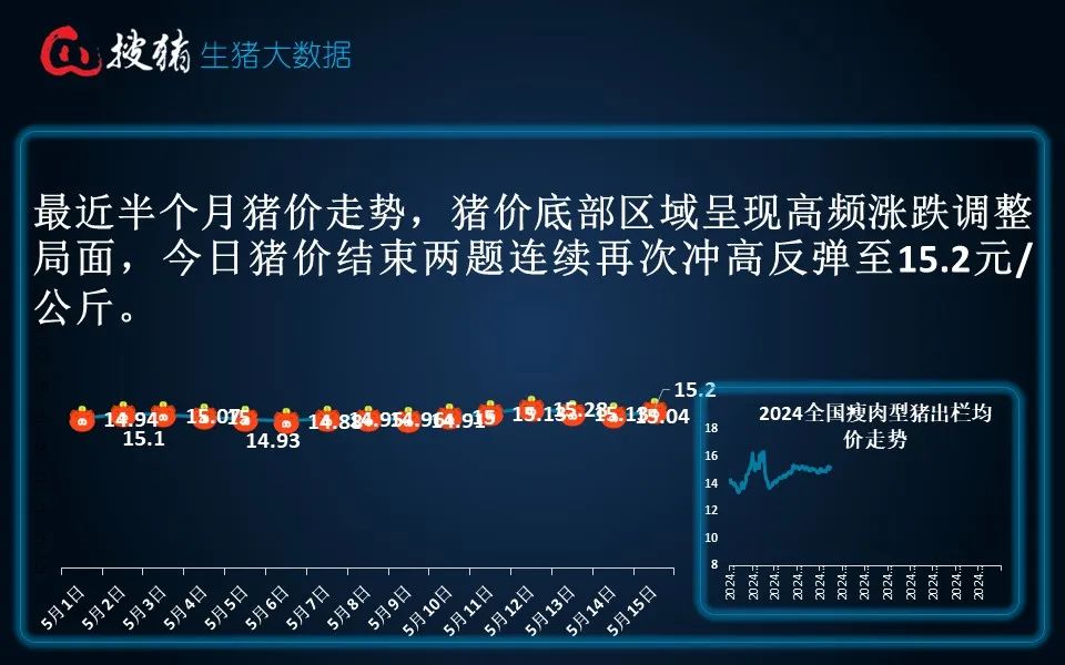 生猪现货日报|全国均价15.2元/公斤 看涨情绪再度升温