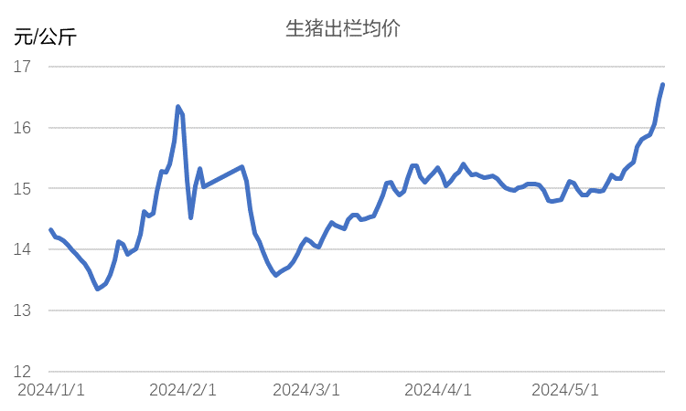 【生猪专题】盘面高点恐临近，养殖企业可逢高参与卖出套保