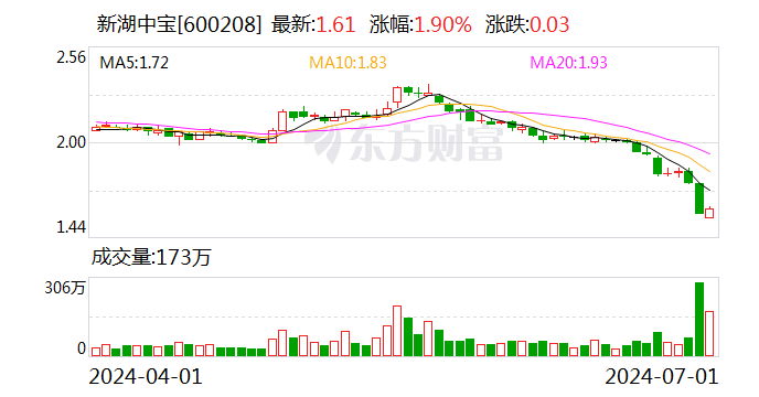 新湖中宝将于7月17日召开股东大会