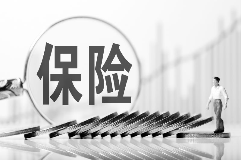 五大上市险企上半年保费收入1.76万亿 两大板块稳增财险收入提升4.5%