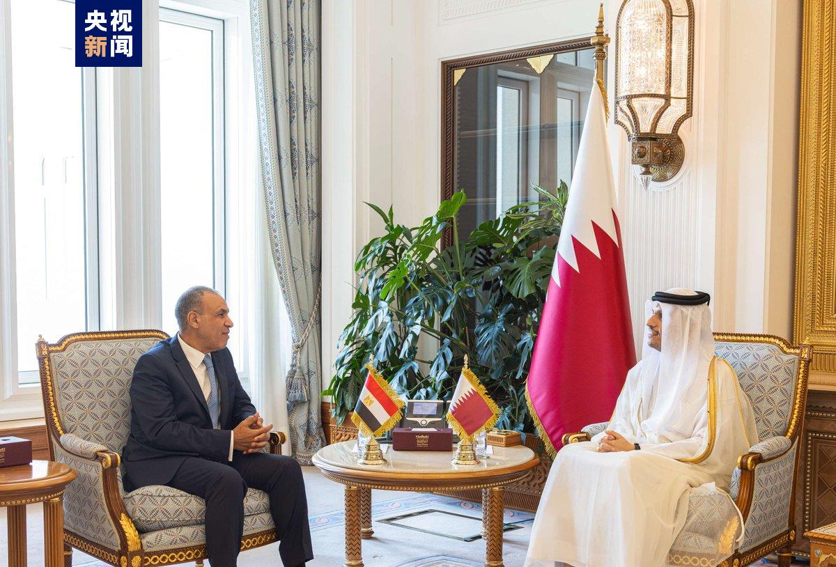 卡塔尔首相与埃及外长举行会谈 重点讨论地区局势